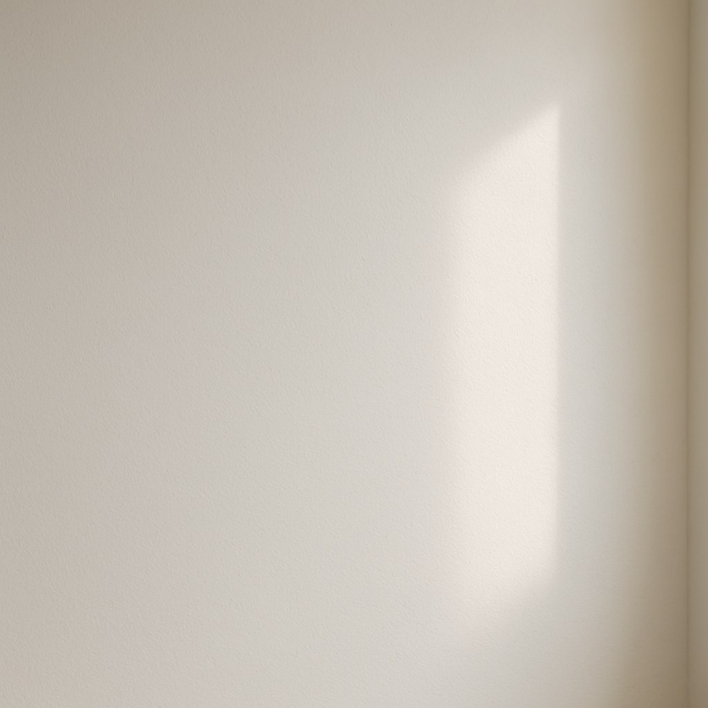 primed wall bathed in natural light